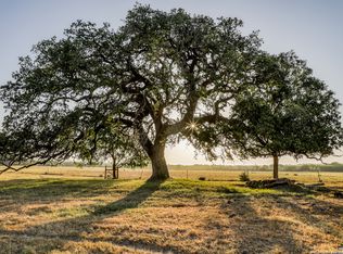 13089 Pearsall Rd, Atascosa, TX 78002