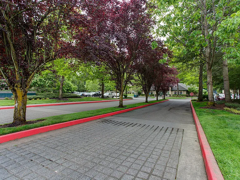 Commons at Creekside Apartments — Photo 16