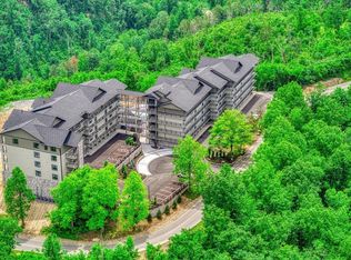 855 Campbell Lead Rd #407, Gatlinburg, TN 37738