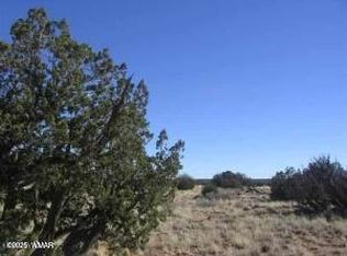 5999 Mesa View Dr Lot 149, Heber, AZ 85928