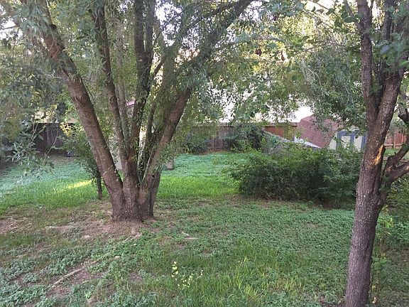 Nice Back Yard