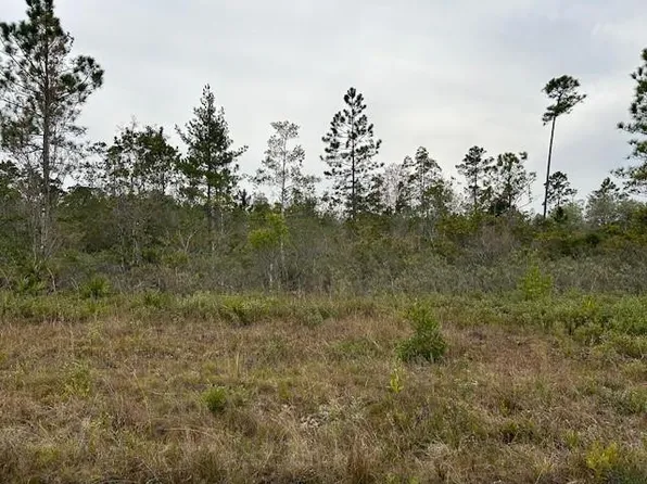 101 Fort Tyler Trl, Waynesville, GA 31566