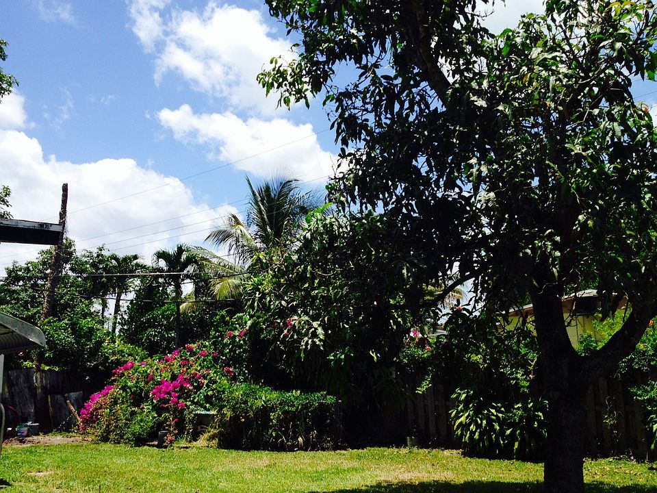 Large Fenced Backyard w/Lush Foliage & Trees