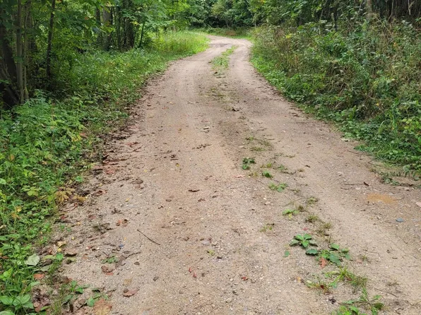 V/l Scotts Rd, Nashville, MI 49073