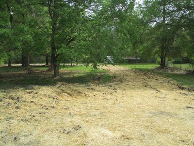 360 Lakeview Dr, Ray City, GA, 31645