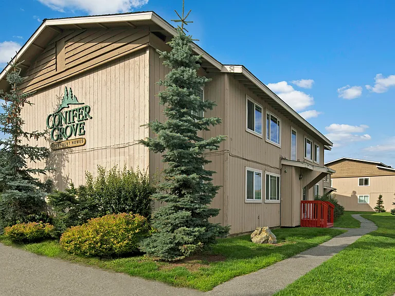Conifer Grove — Photo 18