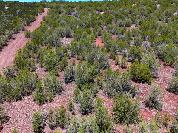 3847 W Bench Rd, Williams, AZ 86046