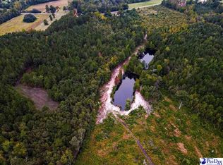 4088 Cherry Johnson Rd, Effingham, SC 29541