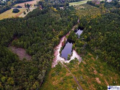 4088 Cherry Johnson Rd, Effingham, SC, 29541