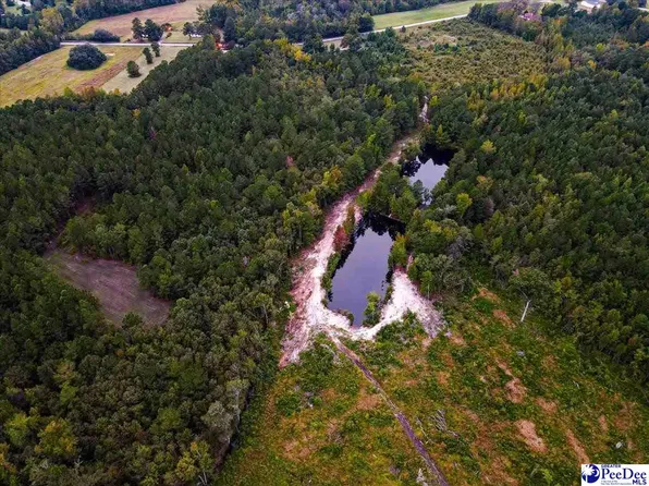 4088 Cherry Johnson Rd, Effingham, SC 29541