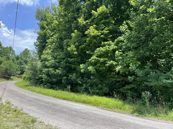 0 Lafever Ridge Rd Lot 1 & 2, Silver Pt, TN 38582