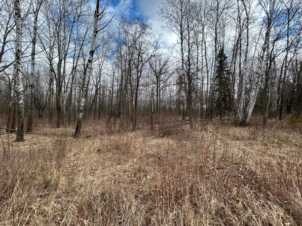 48th Ave, Pine River, MN 56474