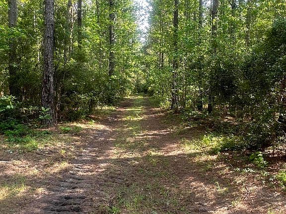 1 Cottageville Hwy, Round O, SC 29474 | MLS #23012731 | Zillow