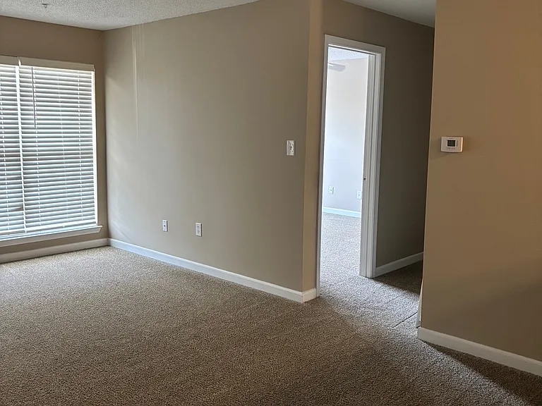 Living room / Dining room