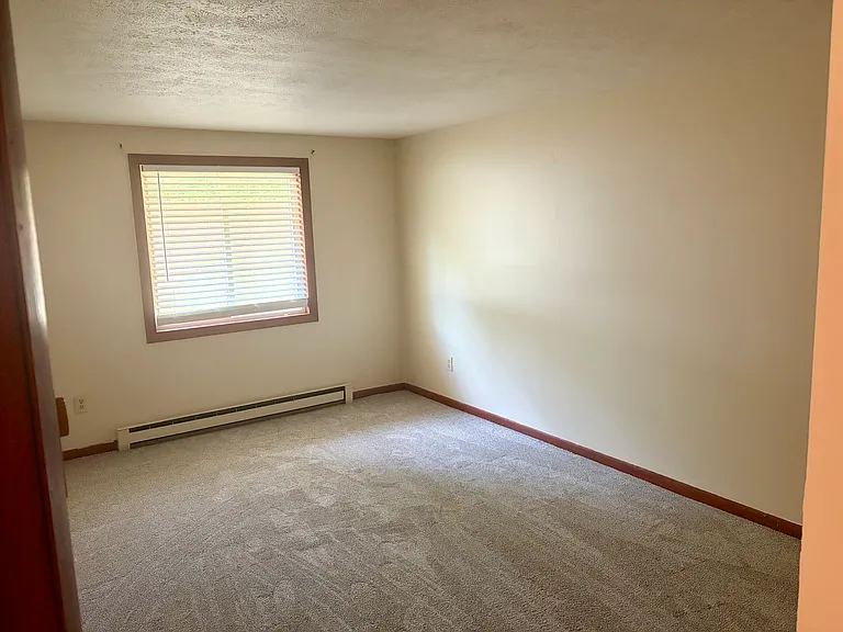 3 Irene St — Photo 8