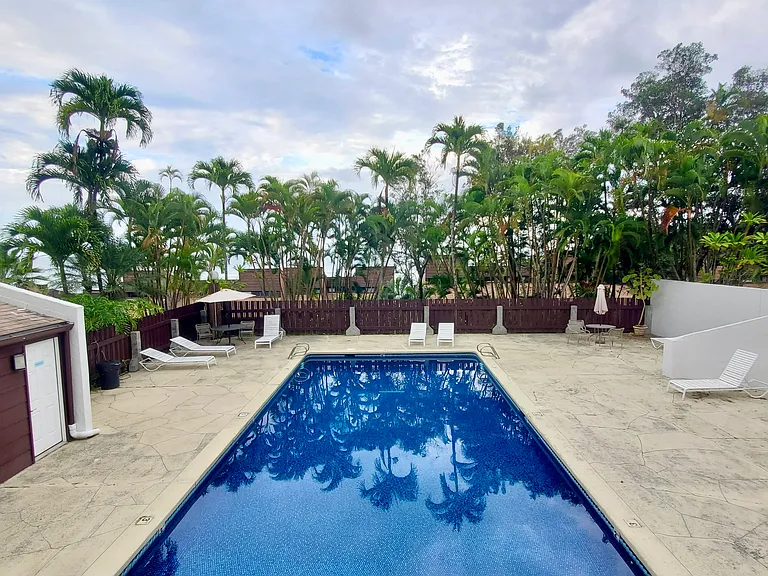 Fully Fenced Salt Water Pool with Lounge Chairs and Palm Trees