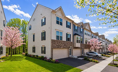 Virtually enhanced landscaping