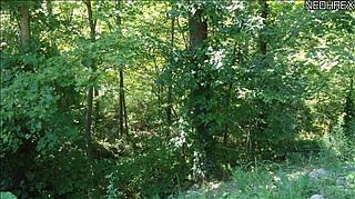 2nd image of 4767 Kingsbury Rd