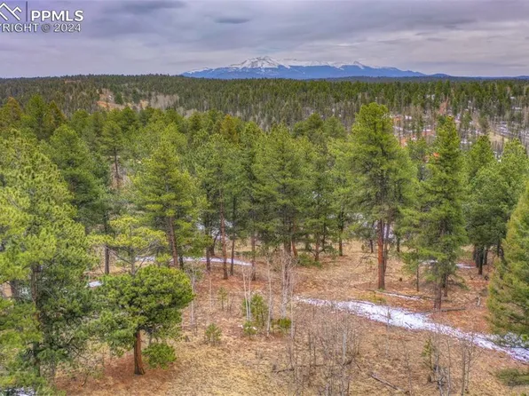 78 Blackhawk Cir, Florissant, CO 80816