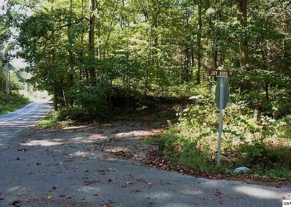 1st image of 8700 Mills Park Rd Lot 0