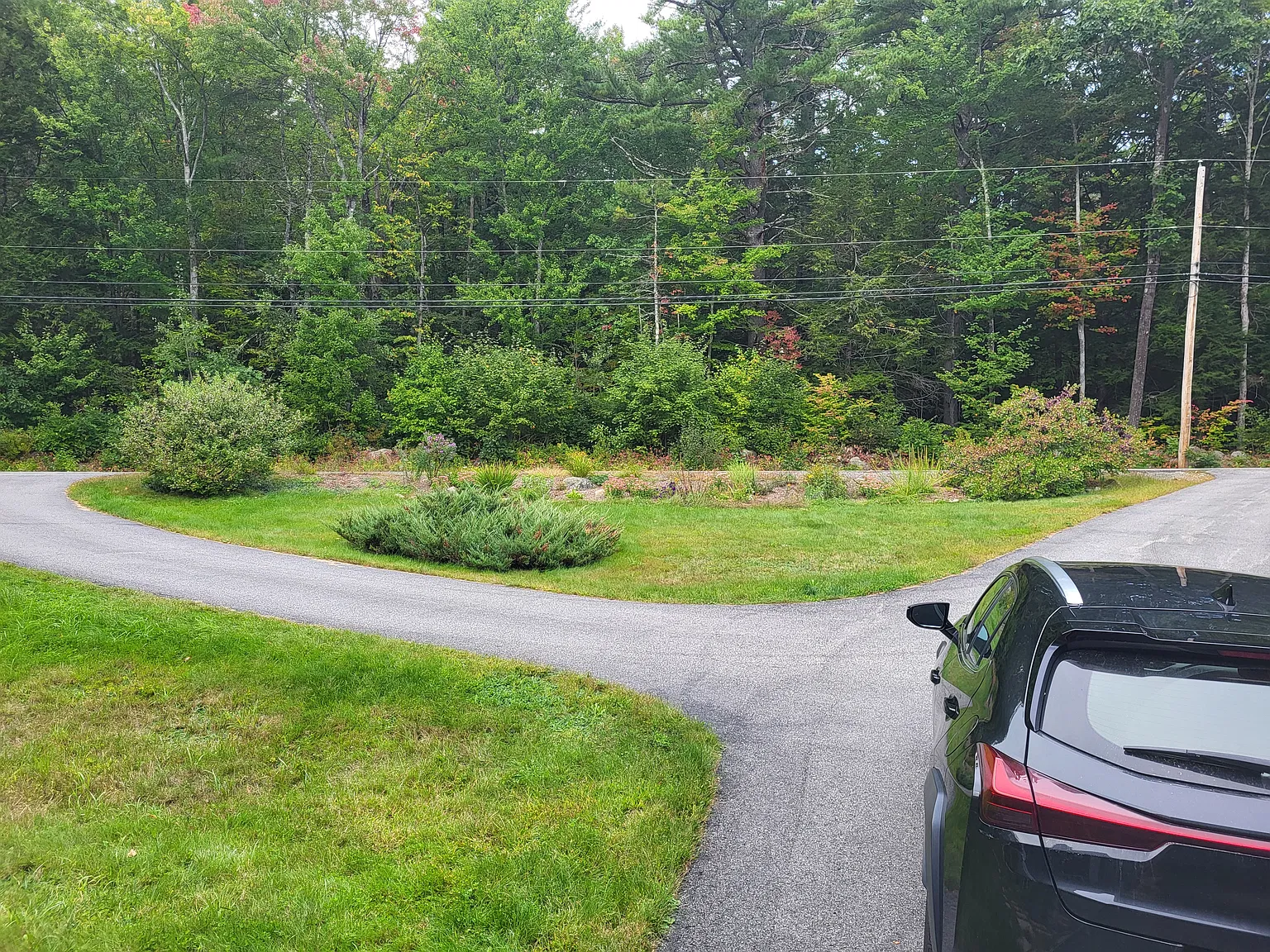 2 bed, 1250 sqft, $2,150 — Photo 4