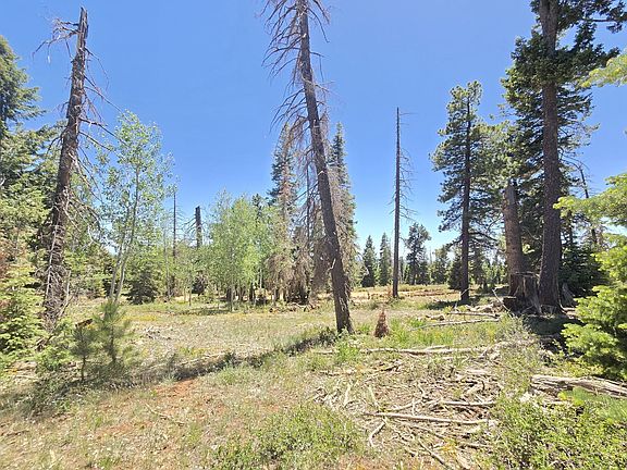 5th image of 5720 W North Fork Rd