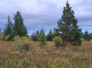 0 E Simmons Rd, Hessel, MI 49745