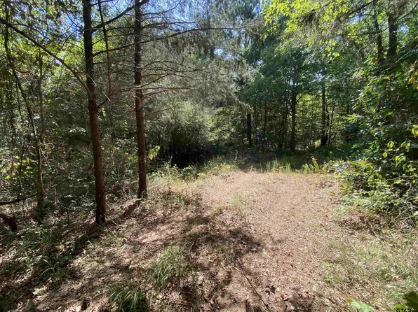County Road 4502, Jacksonville, TX 75766
