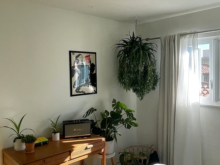 1477 Havenhurst Dr #2 — Photo 25
