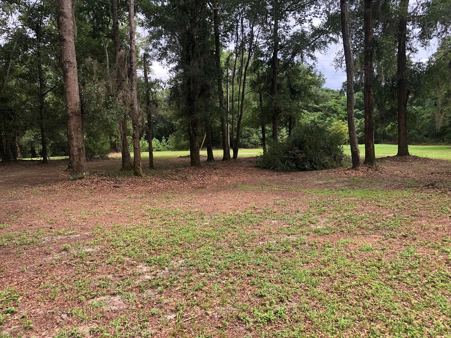 3 bed, 920 sqft, $1,150 — Photo 3