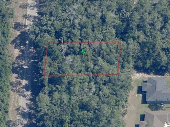8791 N Mission Ter, Citrus Springs, FL 34434