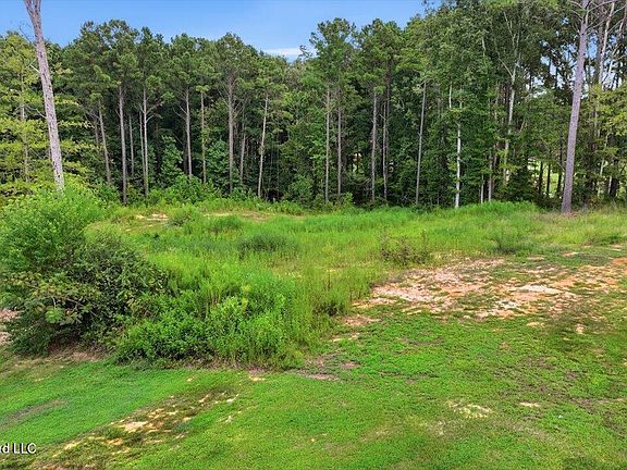 3rd image of Dogwood Trce Lot 22