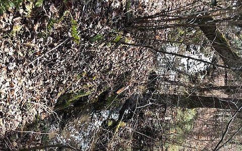 2nd image of Crockett Mountain Ln