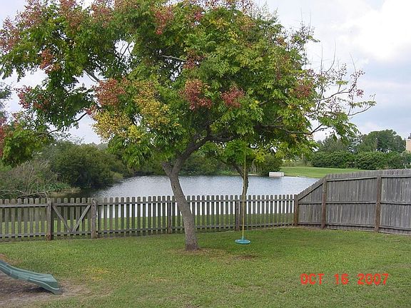 Home's Rear View