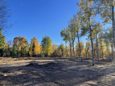 6736 Finnegan Rd, Johannesburg, MI, 49751