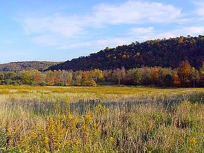 Open land & woods on mahonin