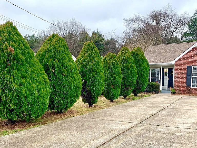 738 Dellwood Dr — Photo 14