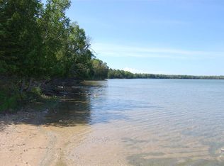 3564 Larks Lake Rd, Pellston, MI 49769