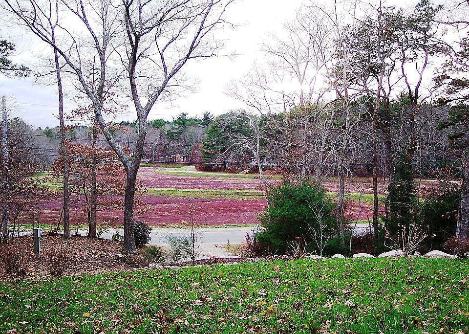 2nd image of 17 Thomas B Landers Rd