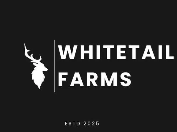 998 Josephville Rd Lot 3, Wentzville, MO 63385