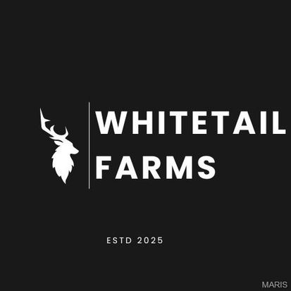 998 Josephville Rd Lot 3, Wentzville, MO 63385