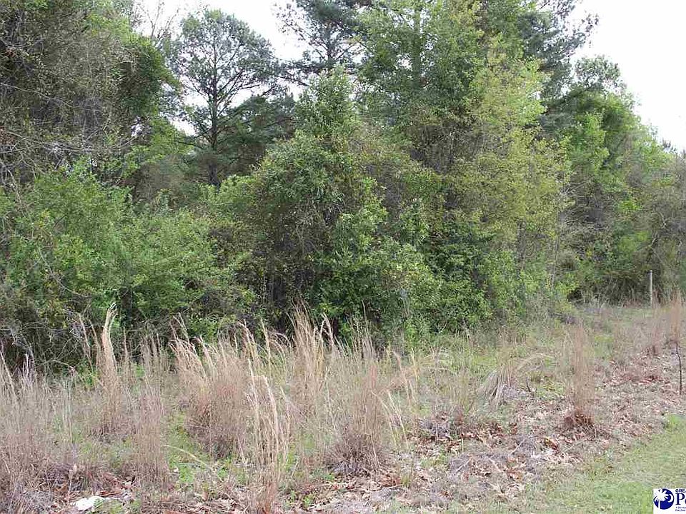 2nd image of 0 Hartsville Ruby Rd