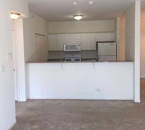 5th image of 847 Sanctuary Dr APT 202A