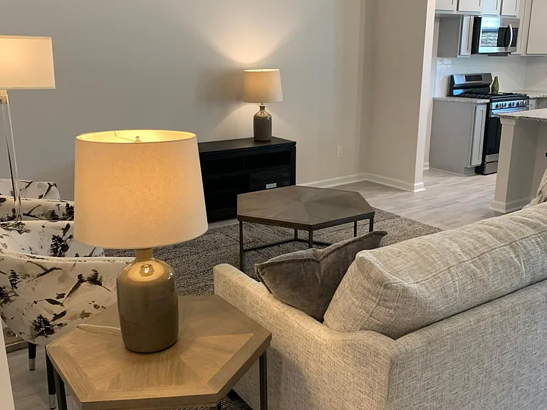 114 Hibiscus Leaf Way — Photo 4