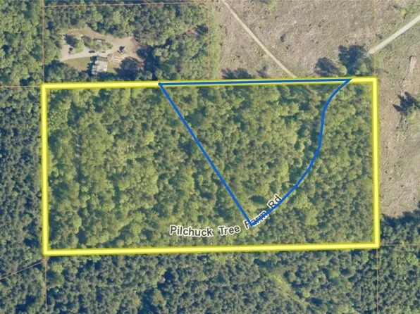 74 XX Pilchuck Tree Farm (Lot 2) Road, Snohomish, WA 98290