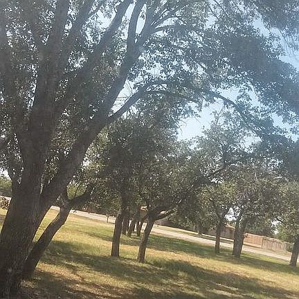 4th image of 527 Valley Trail Dr