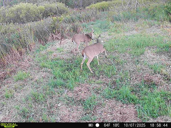 5th image of 10288 Cedar Lake Rd