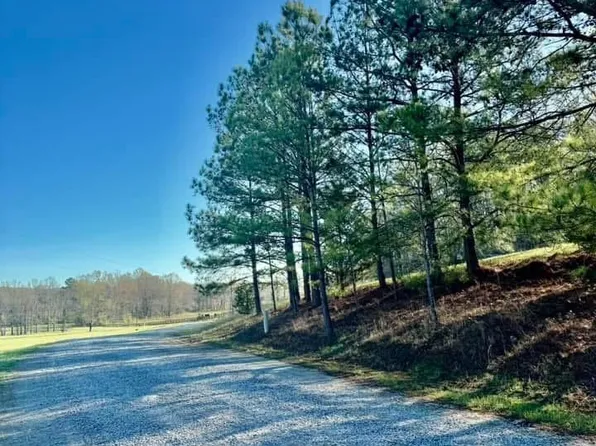 741 Poplar Springs Trl, Ashville, AL 35953