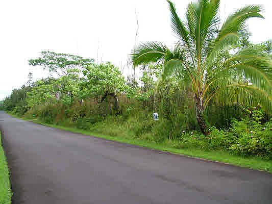 3rd image of Makamae St Lot 40