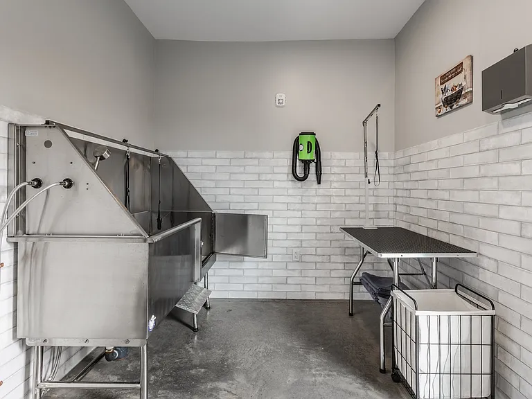 Arsenal 201 Pet Spa